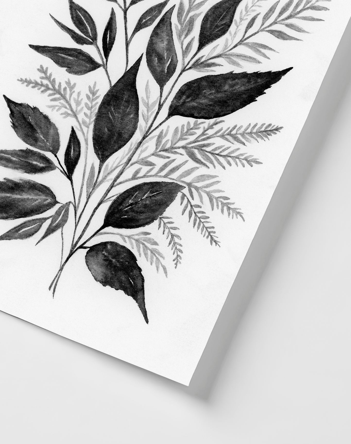 Botanical Black I - Art Print